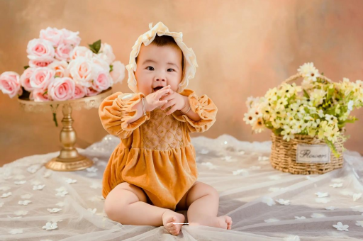 东方好孕廊坊助孕公司名单，预防低价陷阱精选